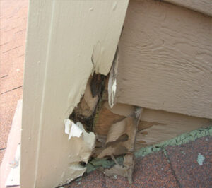 Exterior property repairs by Reston Painting & Contracting